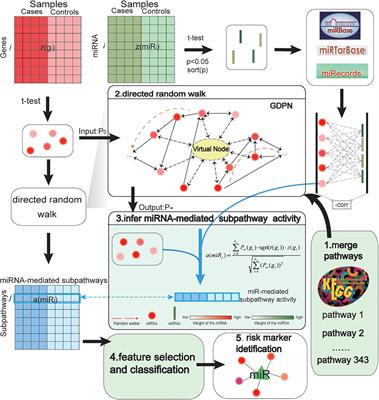 Identification of miRNA-Mediated Subpathways as Prostate Cancer Biomarkers Based on Topological Inference in a Machine Learning Process Using Integrated Gene and miRNA Expression Data